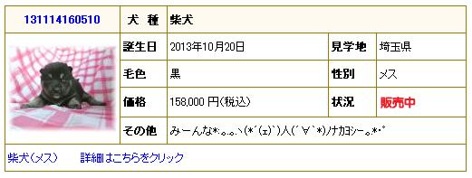 itiran