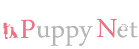 logo04